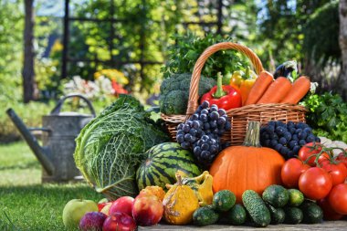 Taze organik sebze ve meyve bahçesinde çeşitli