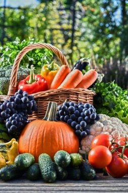 Taze organik sebze ve meyve bahçesinde çeşitli