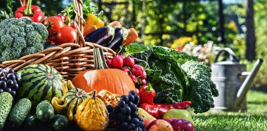 Taze organik sebze ve meyve bahçesinde çeşitli