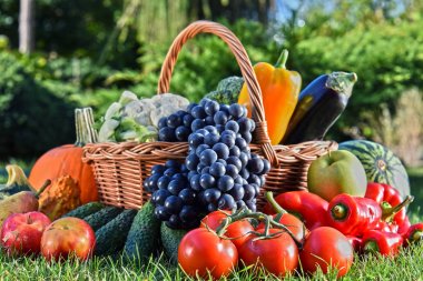 Taze organik sebze ve meyve bahçesinde çeşitli