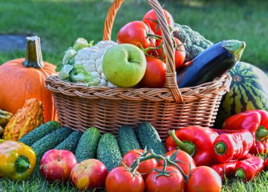 Taze organik sebze ve meyve bahçesinde çeşitli