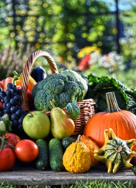Taze organik sebze ve meyve bahçesinde çeşitli