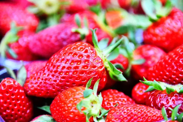 Frische Erdbeeren auf dem Wochenmarkt — Stockfoto