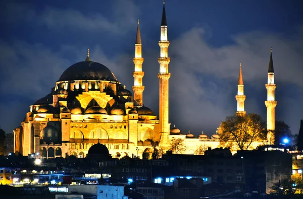 Uitzicht op het derde Hill van Istanbul met Suleymaniye Mosque — Stockfoto