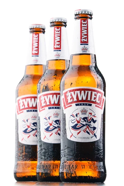 Lahve piva Zywiec — Stock fotografie