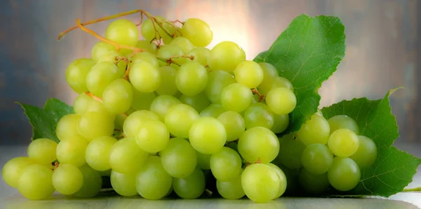 Composizione con uve fresche — Foto Stock