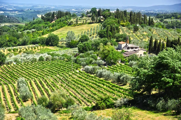 Vingårdar nära den staden San Gimignano, Toscana, Italien — Stockfoto