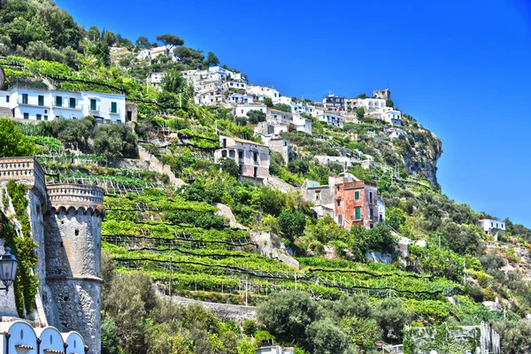 Plantacje cytrusowe na wzgórzach Amalfi, Włochy — Zdjęcie stockowe