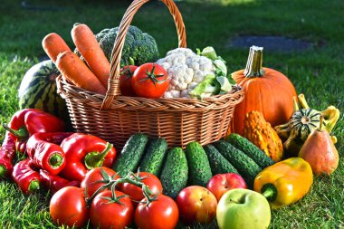 Taze organik sebze ve meyve bahçesinde çeşitli