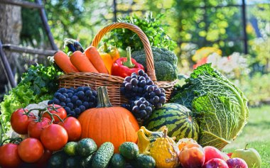 Taze organik sebze ve meyve bahçesinde çeşitli