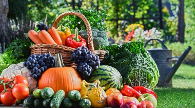 Taze organik sebze ve meyve bahçesinde çeşitli