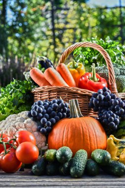 Taze organik sebze ve meyve bahçesinde çeşitli