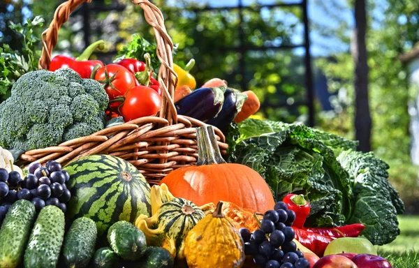 Разнообразие свежих органических овощей и фруктов в саду — стоковое фото