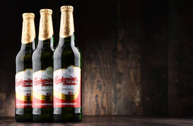 Budweiser Budvar bira şişesi