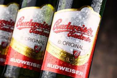 Budweiser Budvar bira şişesi
