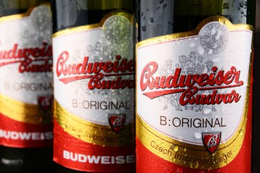 Budweiser Budvar bira şişesi