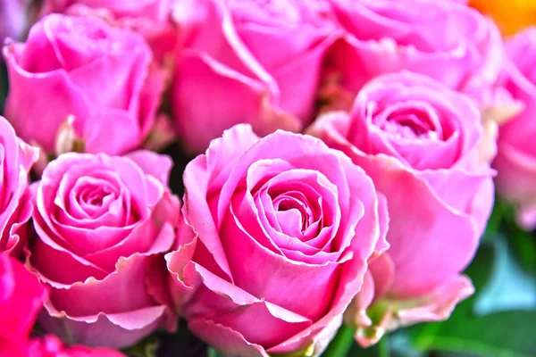 Roses in flower shop.