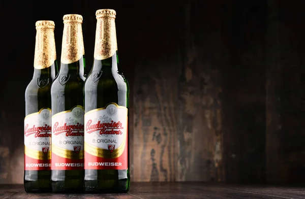 Botellas de cerveza Budweiser Budvar — Foto de Stock