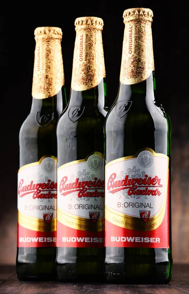 Flessen van Budweiser Budvar bier — Stockfoto