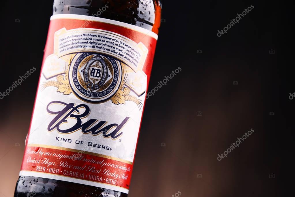 POZNAN, POLAND - JULY 7, 2017: Introduced in St. Louis, Missouri in 1876 , Budweiser is an American-style pale lager produced now by Anheuser-Busch