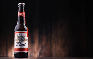 Bir Budweiser bira