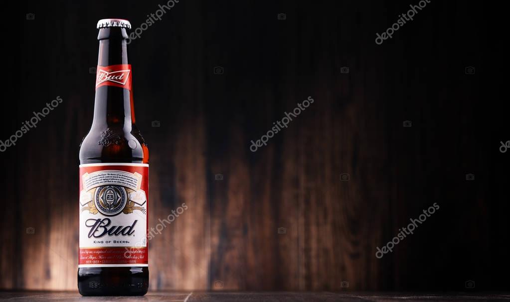 POZNAN, POLAND - JULY 7, 2017: Introduced in St. Louis, Missouri in 1876 , Budweiser is an American-style pale lager produced now by Anheuser-Busch