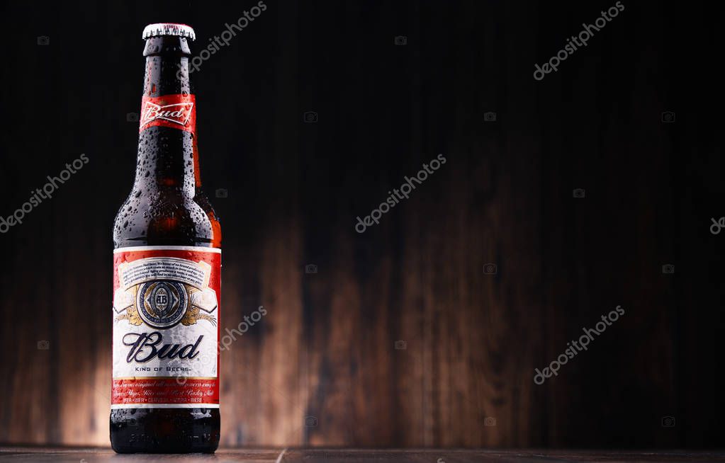 POZNAN, POLAND - JULY 7, 2017: Introduced in St. Louis, Missouri in 1876 , Budweiser is an American-style pale lager produced now by Anheuser-Busch