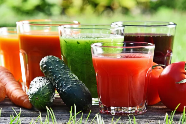 Glazen met verse biologische detox sappen in de tuin — Stockfoto