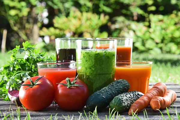 Vasos con zumos de desintoxicación orgánicos frescos en el jardín —  Fotos de Stock