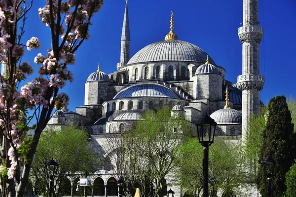 Sultan Ahmed Camii veya Sultanahmet Camii, Istanbul, Türkiye — Stok fotoğraf