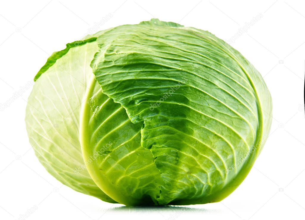 Fresh organic cabbage head isolated on white