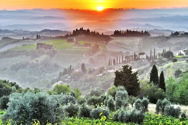 Landschapsmening van Toscane, Italië tijdens zonsopgang — Stockfoto