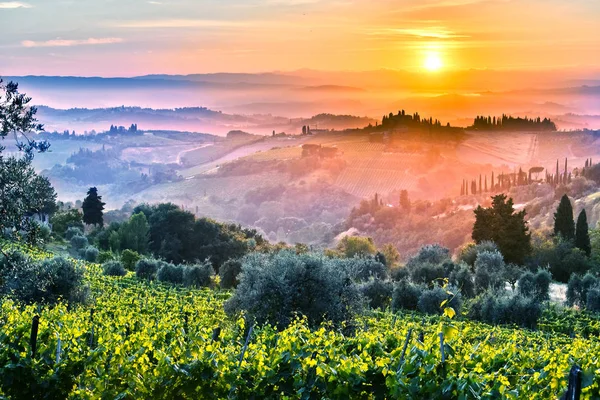 Landscape view of Tuscany, Italy during sunrise — Stock Photo, Image