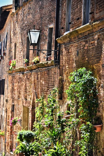 Calle del centro histórico de Pienza en Toscana, Italia — Foto de Stock