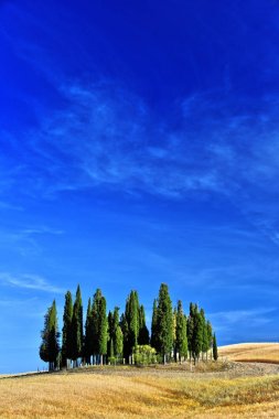 Manzaralı Val d'Orcia, Toskana, İtalya