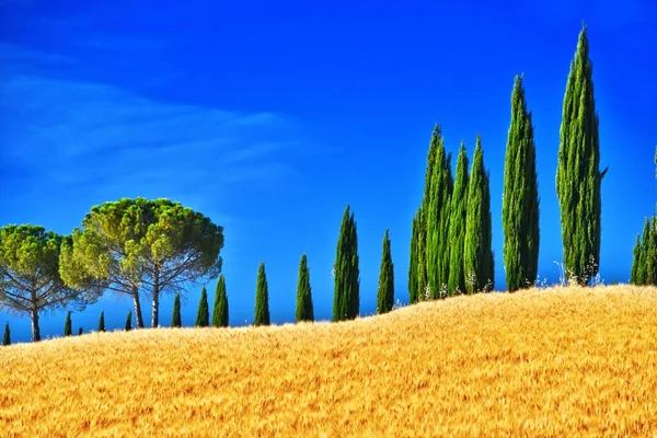 Liggande vy över Val d'Orcia, Toscana, Italien — Stockfoto