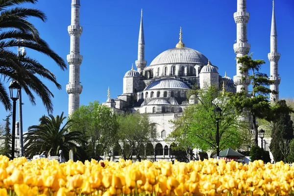 Mešita Sultan Ahmed nebo Modrá mešita v Istanbulu, Turecko — Stock fotografie