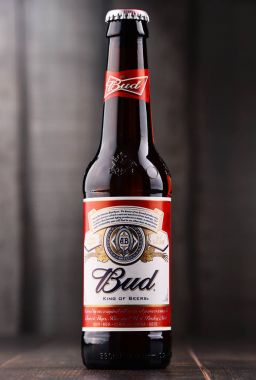 Bir Budweiser bira