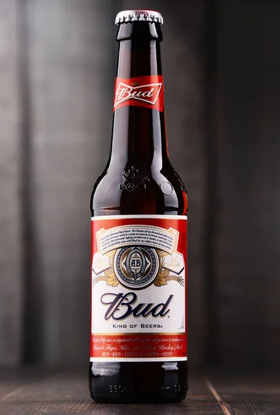 Fles van Budweiser bier — Stockfoto