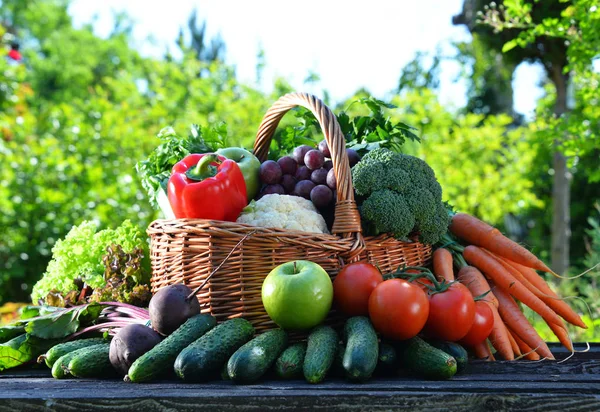 Scala aan verse biologische groenten en fruit in de tuin — Stockfoto