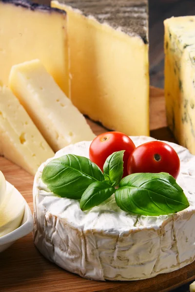 Различные сорта сыра на кухонном столе — стоковое фото