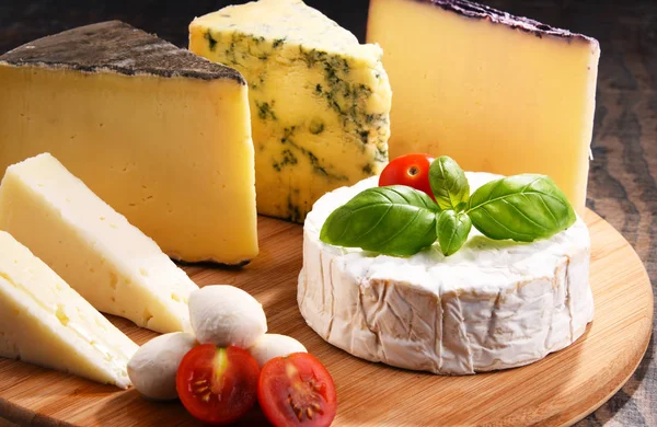 식탁 위에 놓인 여러 종류의 치즈 — 스톡 사진