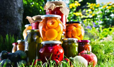 Kavanoz turşu sebze ve meyve bahçesinde