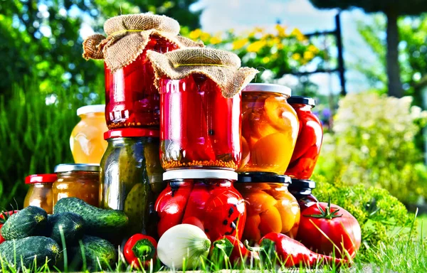 Potten van ingemaakte groenten en fruit in de tuin — Stockfoto