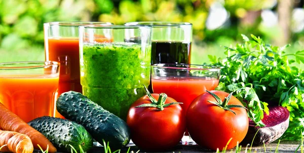 Gläser mit frischen Bio-Detox-Säften im Garten — Stockfoto