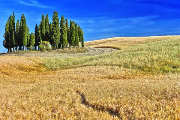 Liggande vy över Val d'Orcia, Toscana, Italien — Stockfoto