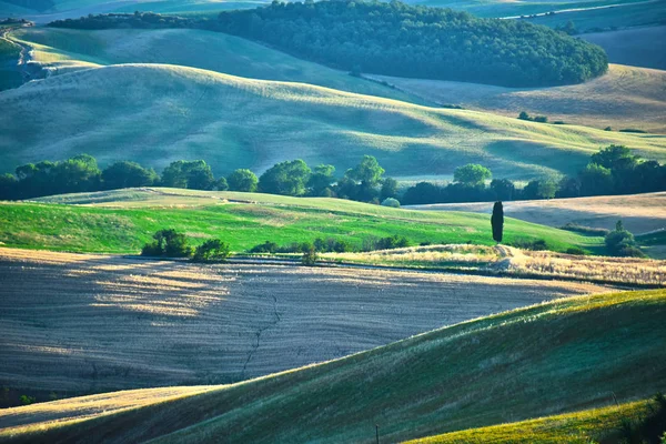 Landschapsmening van Val d'Orcia, Toscane, Italië — Stockfoto