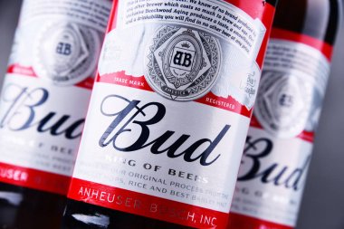Bud bira şişesi