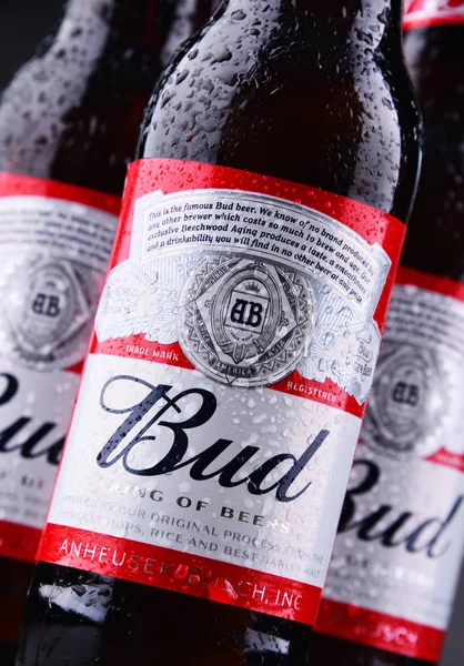 Bud bira şişesi — Stok fotoğraf