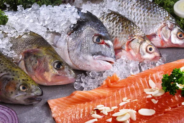 Berbagai jenis ikan di meja dapur — Stok Foto